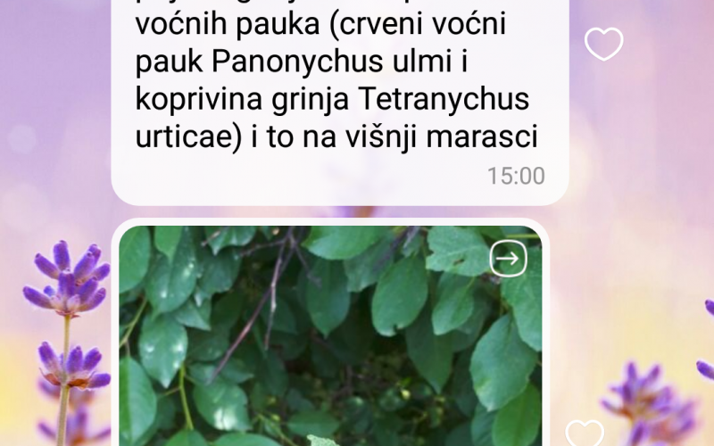 Osvrt na preporuke stručnjaka o kontroliranoj upotrebi pesticida