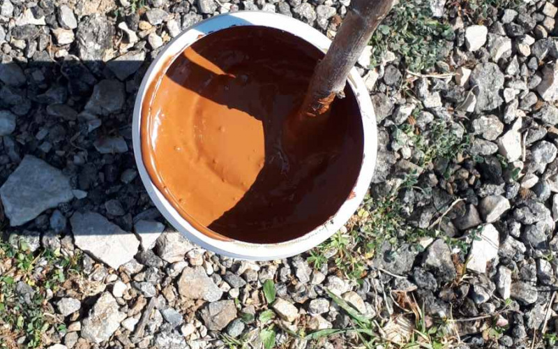 Preporuka br. 10 za Zadarsku županiju