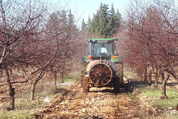 Zaštita voćnjaka i vinograda u veljači i ožujku