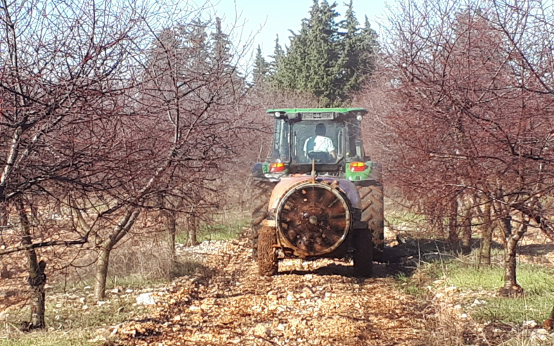 Zaštita voćnjaka i vinograda u veljači i ožujku